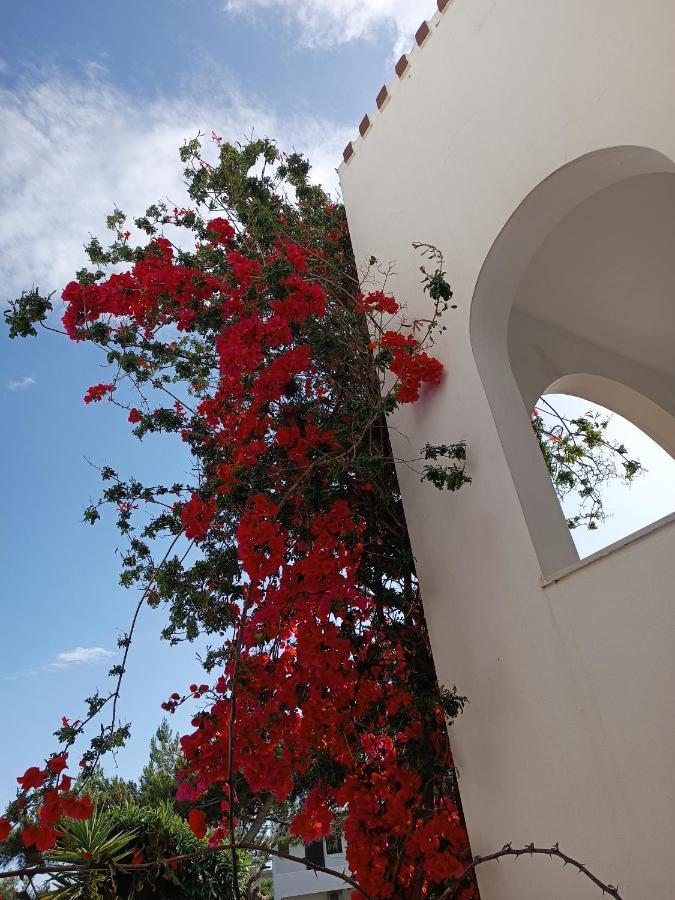 Castello Verde Плакиас Екстериор снимка